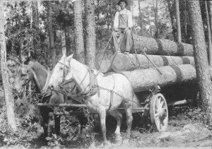 2_horse_logging_team