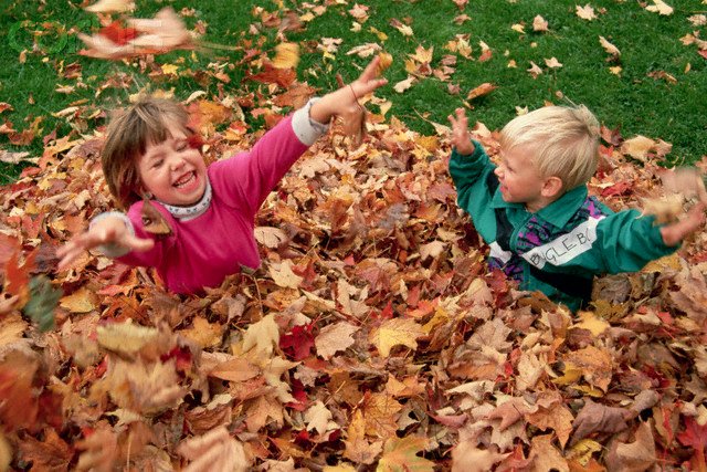 Children Playing in Leaves