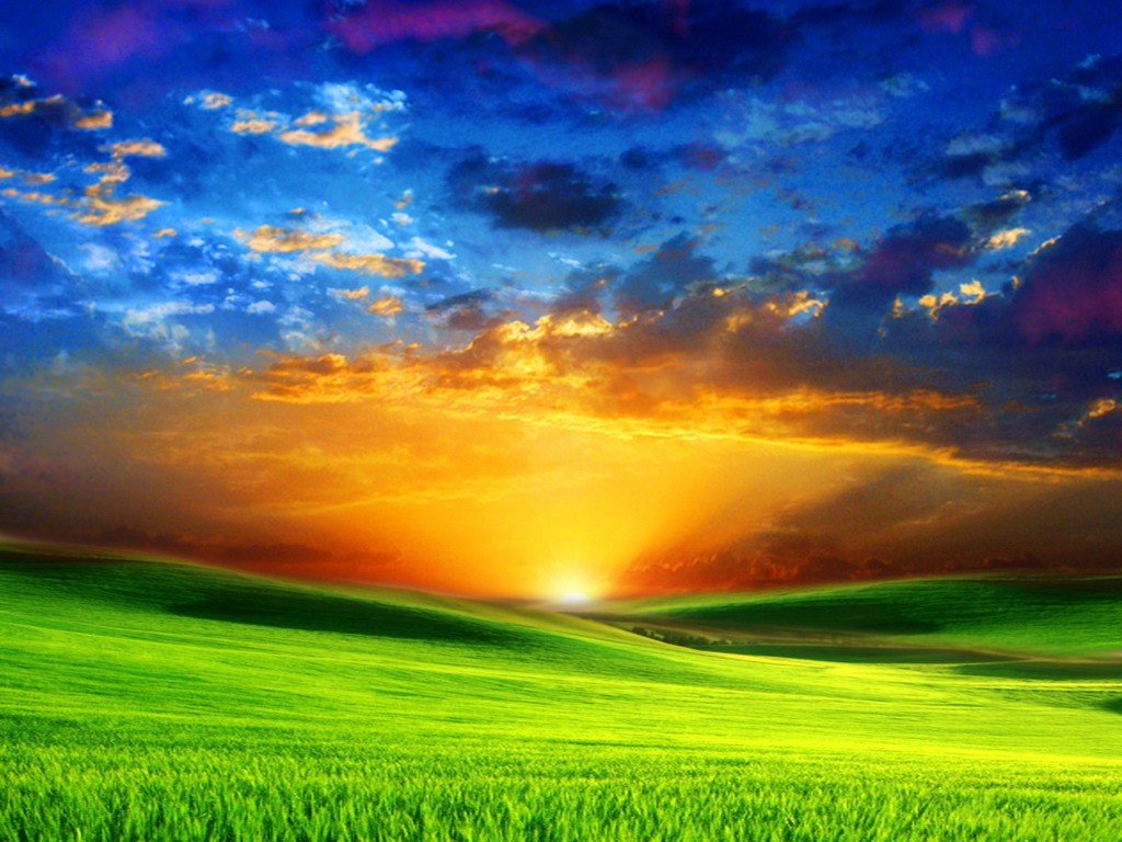 beautiful_sunrise_on_green_meadow