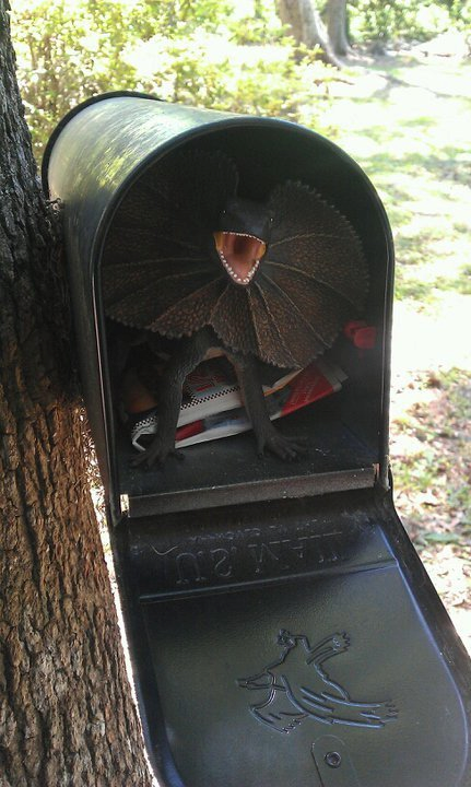 raptor mailbox